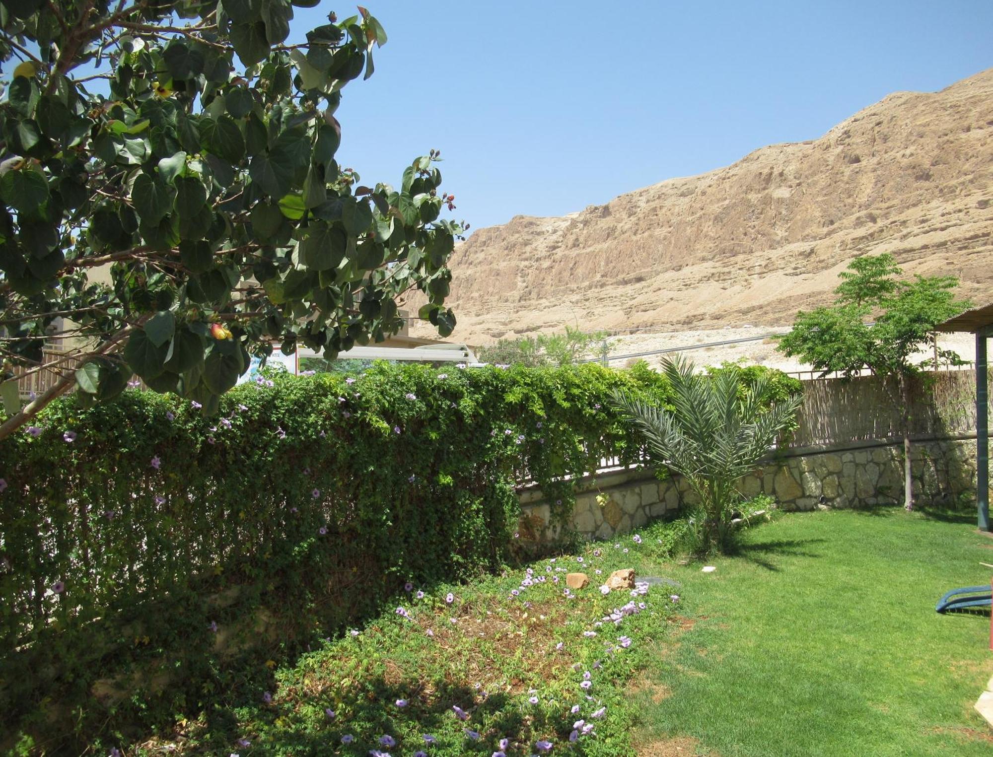 Unique&Warmy Place In The Dead Sea Avnat Kültér fotó